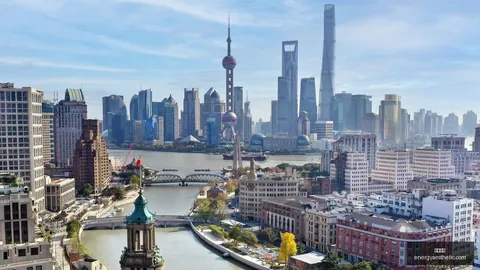 切尔西怒批摩纳哥违约不专业，巴洛贡背后真相：终极指南